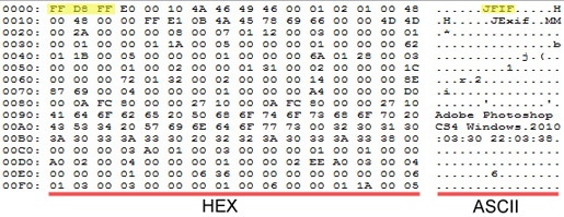 Скриншот Minidumper (HEX, ASCII)