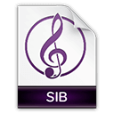 Иконка формата файла sib