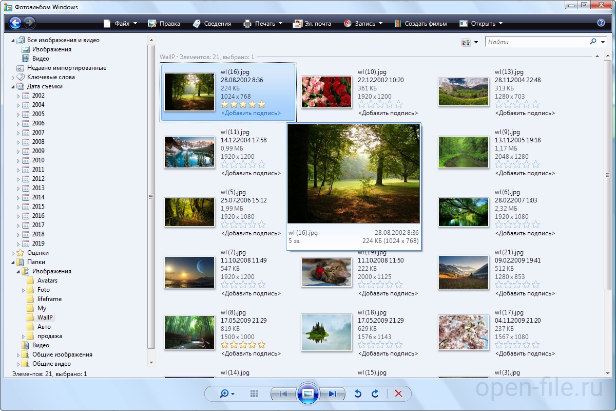 Скриншот программы Фотоальбом (Windows 7/Vista)