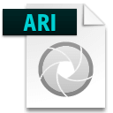 Иконка формата файла ari