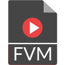 Иконка формата файла fvm
