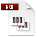 Иконка формата файла nkb
