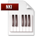 Иконка формата файла nki