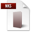 Иконка формата файла nks