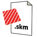 Иконка формата файла skm