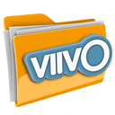 Иконка формата файла viivo